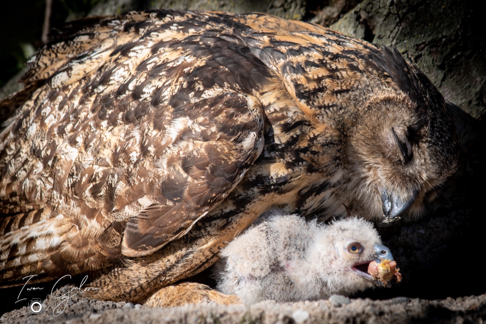 18 april 2022 101422 1DX49270 2